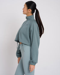 Aloe Grey